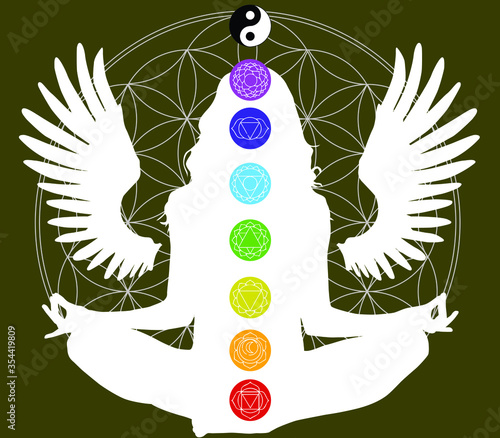 Reiki angel silhouette seven chakras vector set