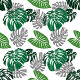 Tropical palm leaves. Tropical trendy. Seamless pattern background with exotic palm leaves. Vector.