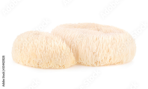 Lion mane mushroom isolated on white background.