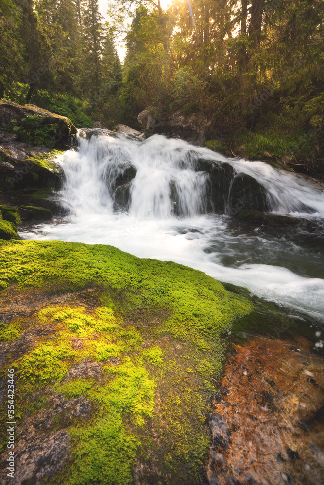 Fototapeta premium Beautiful nature with water flowing thourgh rocks near Zelene pleso (Green Lake) in High Tatras, Slovakia.