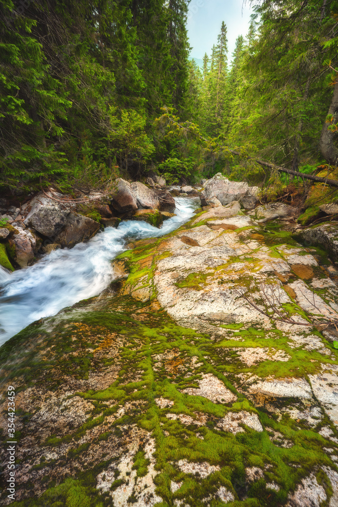 Beautiful nature with water flowing thourgh rocks near Zelene pleso (Green Lake) in High Tatras, Slovakia. Beautiful nature with water flowing thourgh rocks near Zelene pleso (Green Lake) in High Tatras, Slovakia.