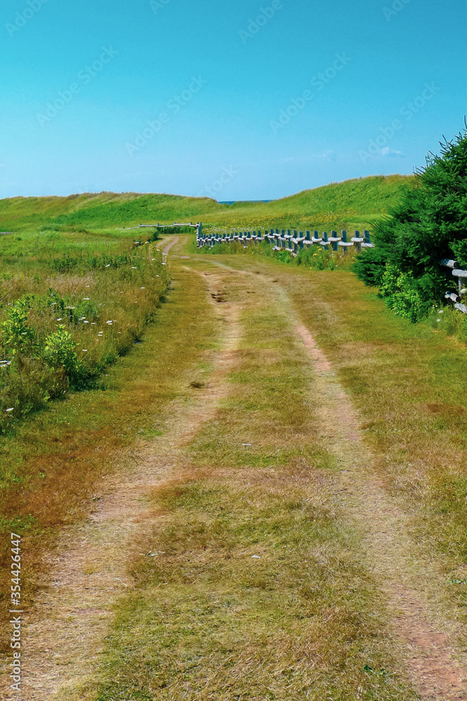 Rural grassy road in Prince Edward Island, Canada - travel destination