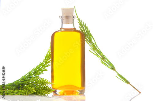 horsetai essential oil in  beautiful bottle on White background