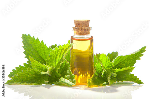 catmint essential oil in  beautiful bottle on White background