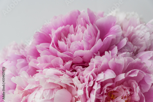 Big gentle peony bouquet. Sign of love. Celebration concept. Greeting card for birthday  valentines day  womans day  anniversary.