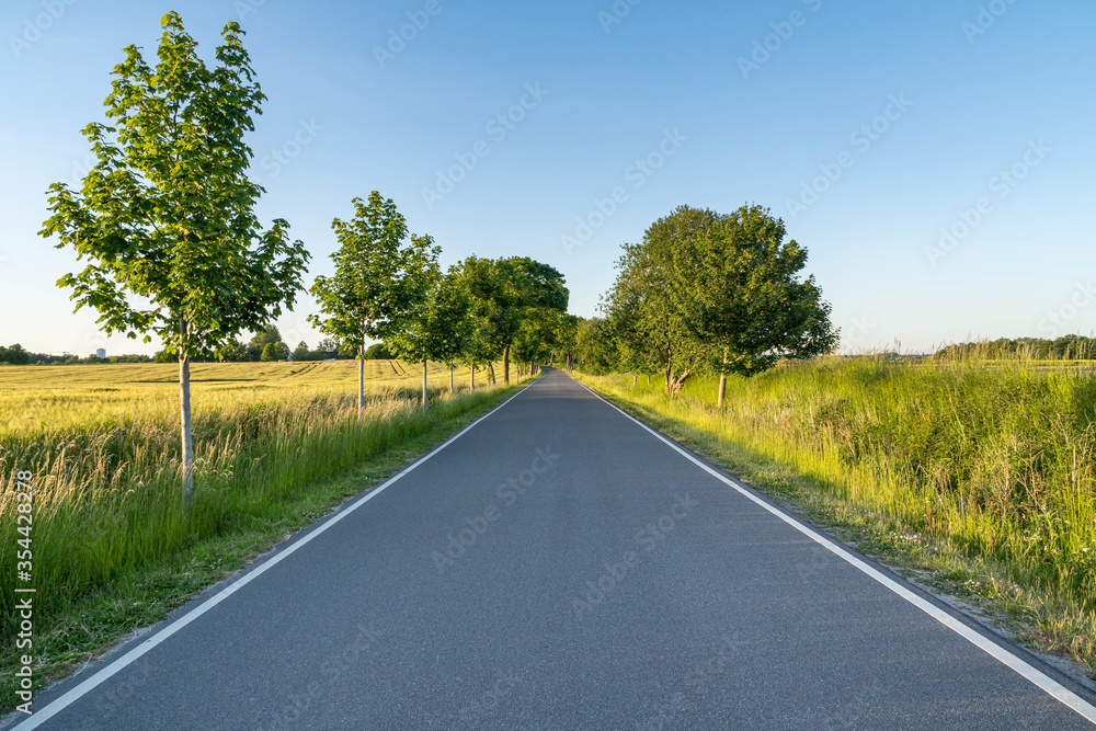 rural empty road in the countryside, blue sky without clouds, springtime