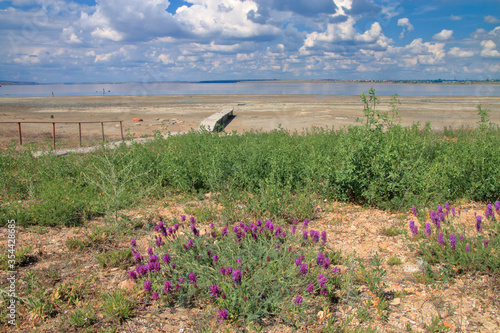 Landscape of sparse vegetation of the liman steppe. photo