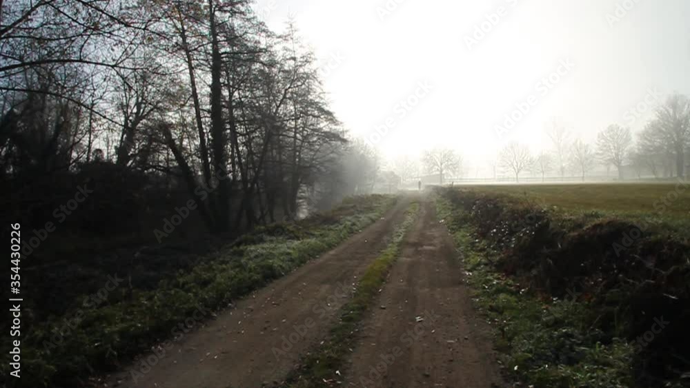 Silhouette walks away to the road through a foggy winter morning landscape Silhouette walks away to the road through a foggy winter morning landscape