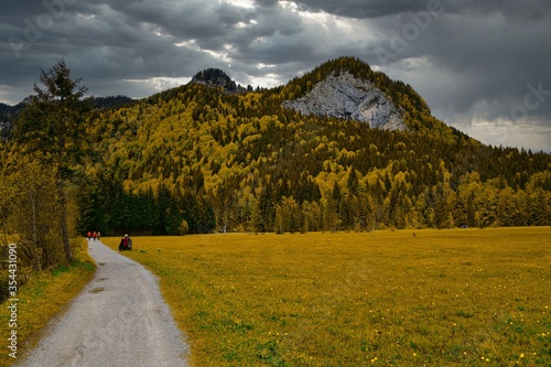 Valley in the Bavarian alps