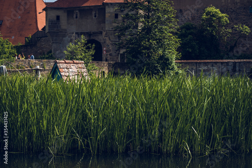 Kleine Insel in See mit grünem Gras und Hütte