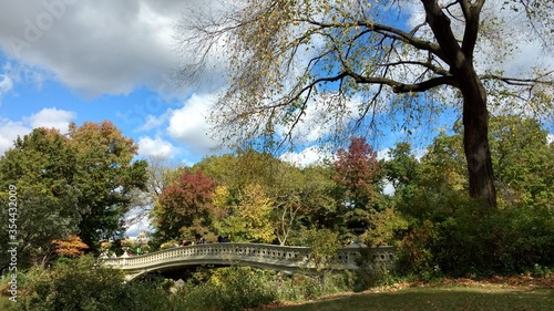 Old Bridge in Autum Central Park NY