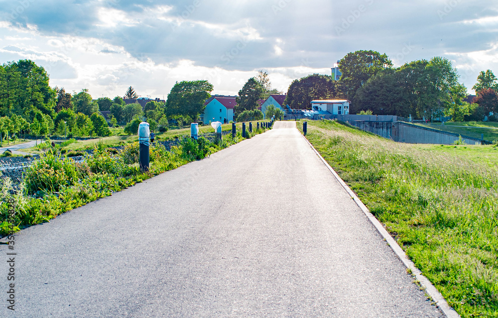 Road in the park Road in the park