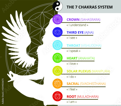 the 7 chakras system