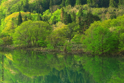 新緑の錦秋湖