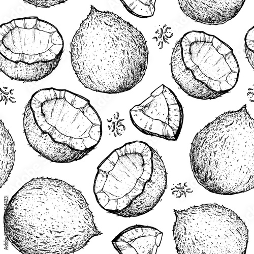 Coconut seamless pattern. Coconut design template. Hand drawn vector. Food illustration Engraved style. Vector botanical illustration, tropical background.
