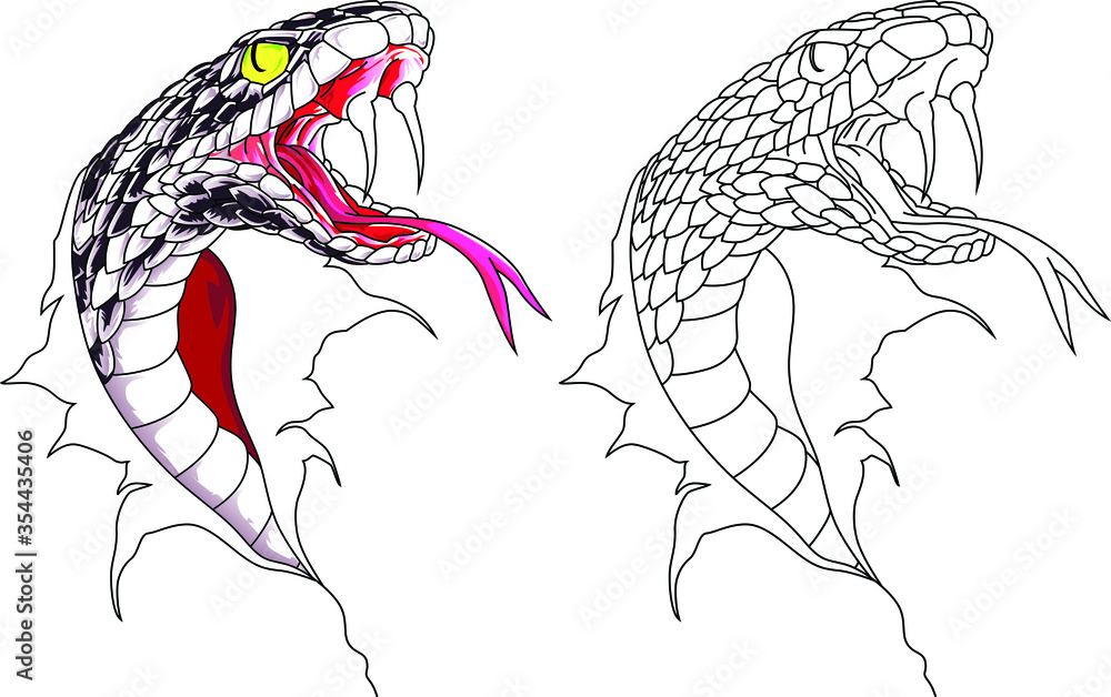 The head of the Serpent Cobra and is ready to strike, showing fangs and  tongue. Stock Vector | Adobe Stock