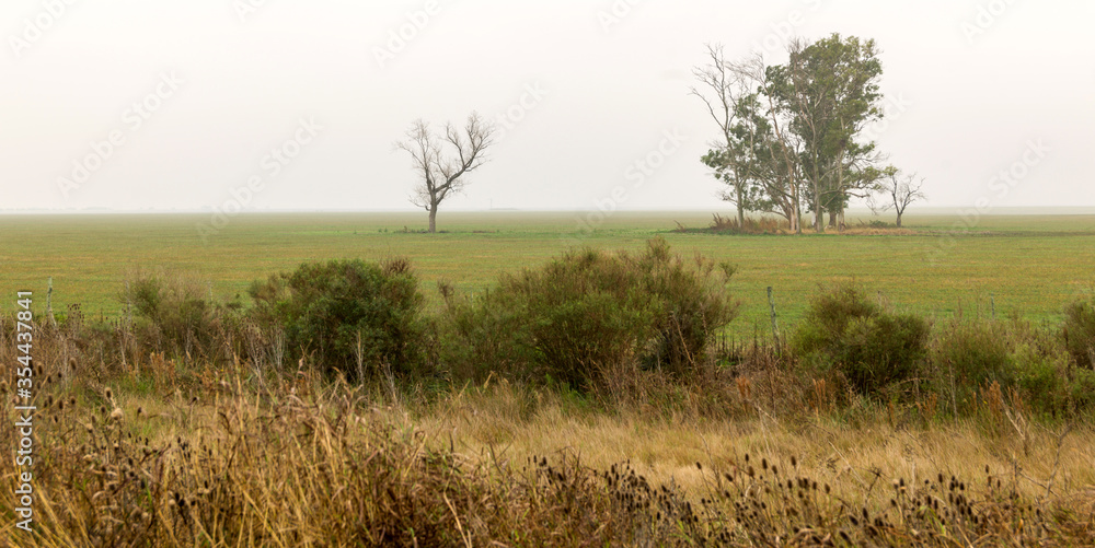 Latin American forest deforestation, due to agriculture and increased agricultural production. Latin American forest deforestation, due to agriculture and increased agricultural production.