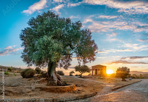 Agrigento - valle dei templi - Sicily - Italy