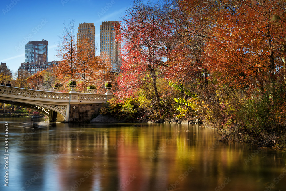 Central Park in Autumn - new york
