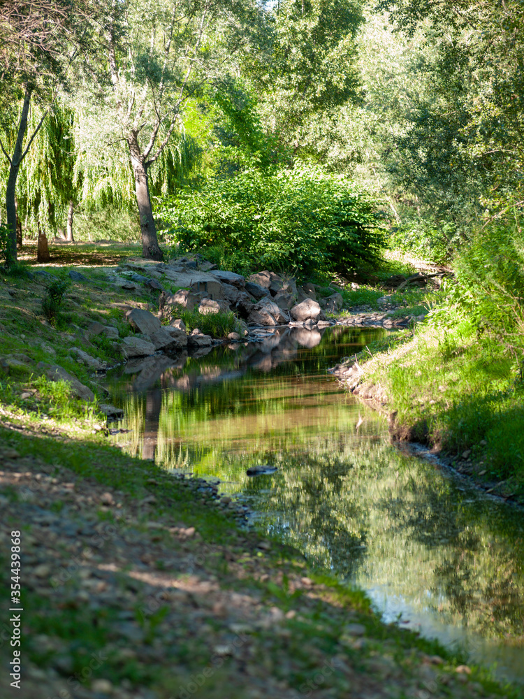 Obraz premium Ruisseau ambiance paisible bucolique au coeur de la nature verdoyante