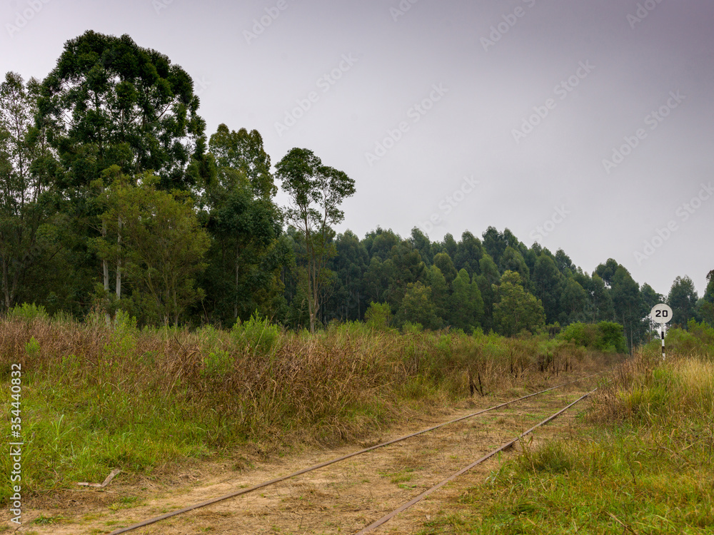 unused train tracks with forest background