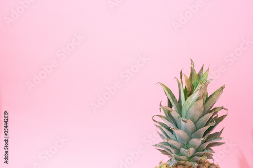 Pineapple leaves on bright pink background. Fruit concept. Flat lay