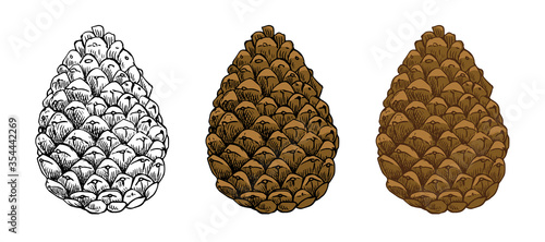 Pine cones vector set. Different hand drawn sketch styles. Botanical drawing. Winter holidays, Christmas symbols. Isolated on white background.