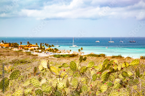 Beach View on Aruba island in the Caribbean Sea.
