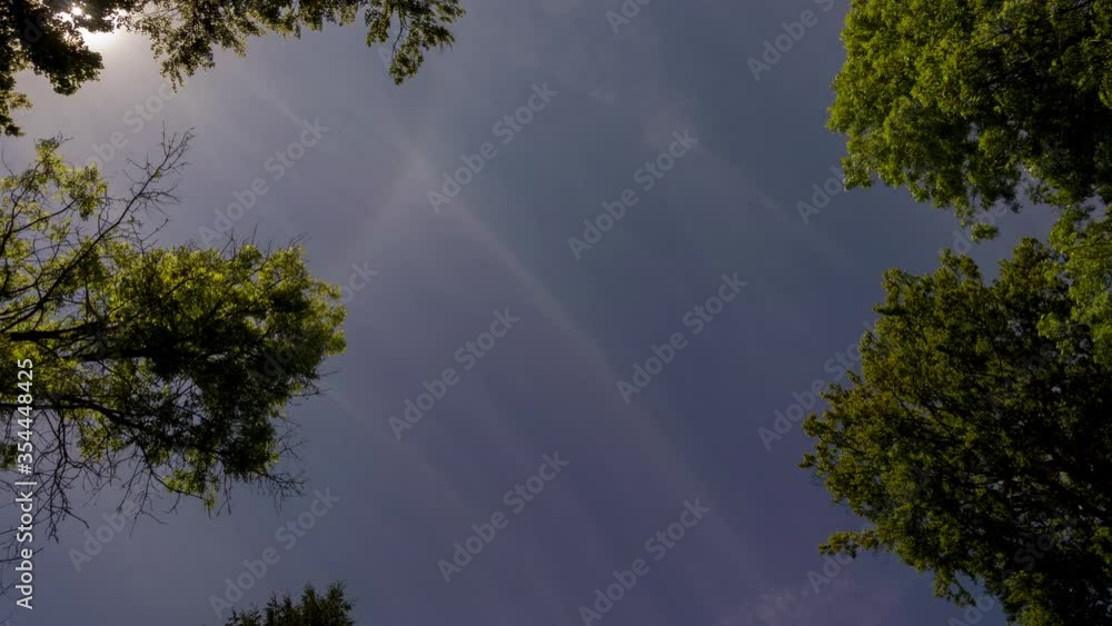 Time lapse of white clouds moving above a forest, on a bright sunny day. Time lapse of white clouds moving above a forest, on a bright sunny day.