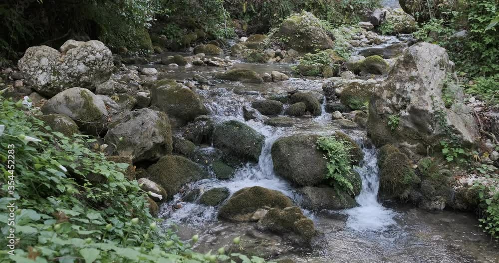 Mountain river flowing through the green forest. Stream in the wood. Outdoor, scene. Mountain river flowing through the green forest Mountain river flowing through the green forest. Stream in the wood. Outdoor, scene. Mountain river flowing through the green forest