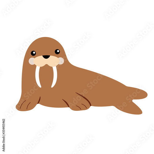 Vector illustration of an isolated walrus with a cute face. Simple, flat style.