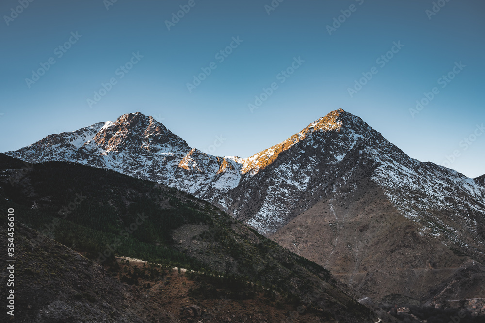 Snow covered peaks of Toubkal National Park Morocco, High Atlas Mountains. Sunrise light with blue sky. Small forect in the foreground.