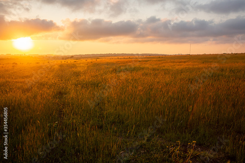 sunset over field