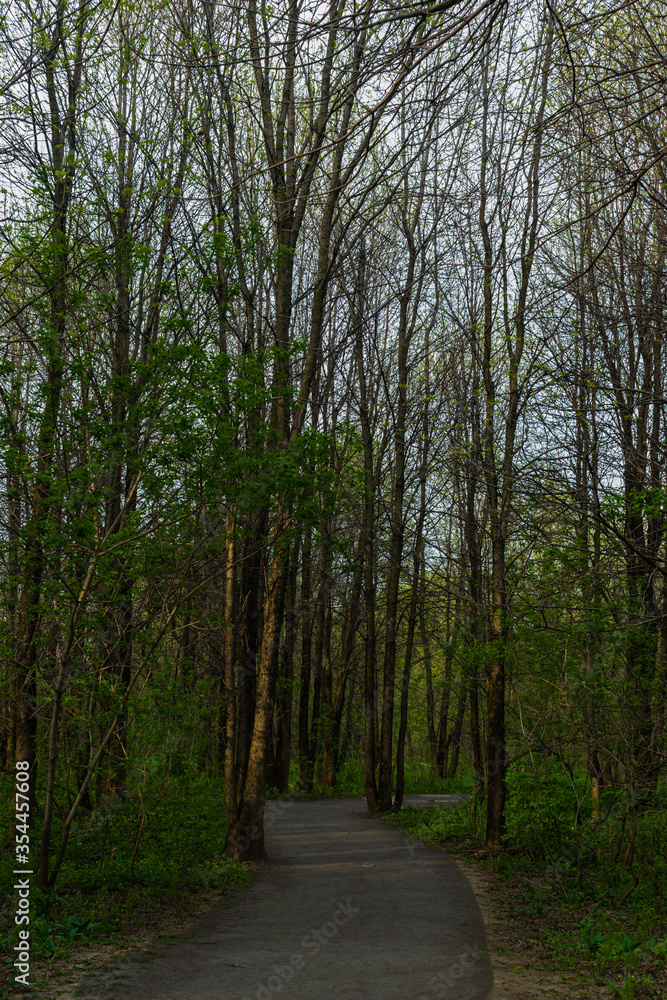 Fototapeta premium St-Charles River spring 2020