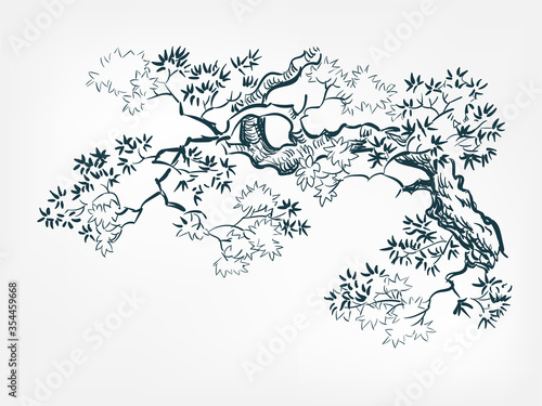 flower plantmaple branch japanese chinese ink line sketch style