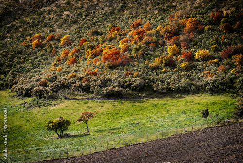 Agriculture crop fields in Papallacta, Ecuador