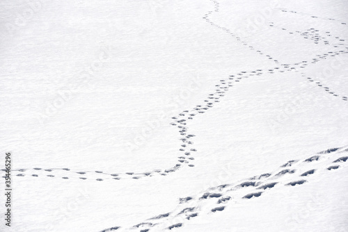 Human tracks in white snow with empty space