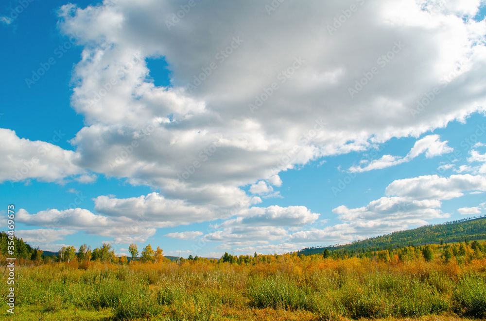 Beautiful field on a background of the blue sky with amazing clouds. Bright sunny evening. Autumn mood. Beautiful nature of Russia. Beautiful field on a background of the blue sky with amazing clouds. Bright sunny evening. Autumn mood. Beautiful nature of Russia.
