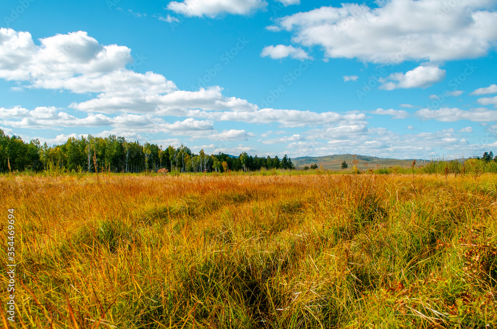 Beautiful field on a background of the blue sky and clouds. Bright sunny evening. Autumn mood. Beautiful natural landscape of Russia.