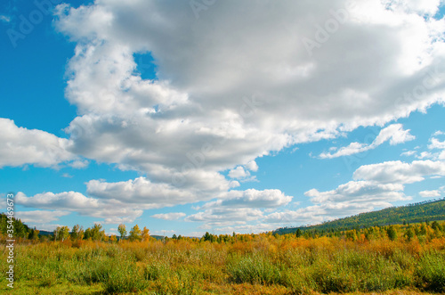 Beautiful field on a background of the blue sky with amazing clouds. Bright sunny evening. Autumn mood. Beautiful nature of Russia.