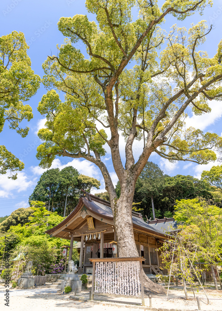 宝満宮竈門神社(ほうまんぐうかまどじんじゃ)福岡県太宰府市 宝満宮竈門神社(ほうまんぐうかまどじんじゃ)福岡県太宰府市