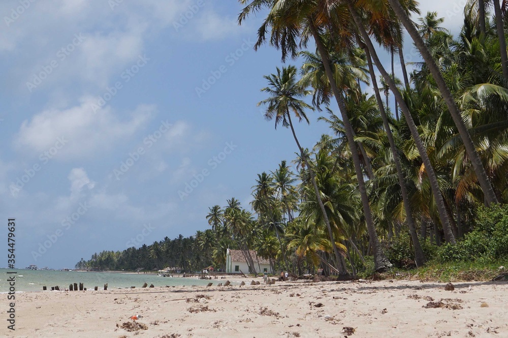 tropical beach with palm trees tropical beach with palm trees