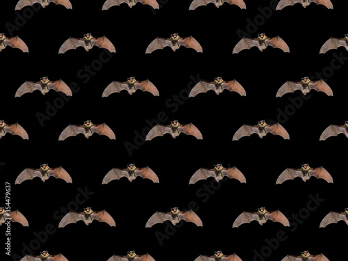 Small bat, seamless pattern.