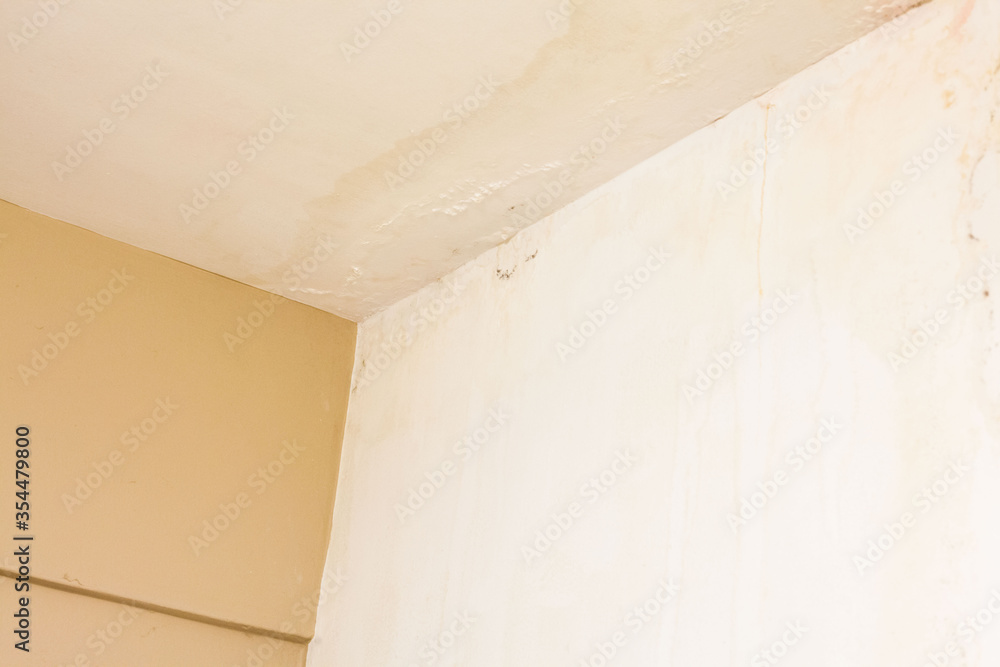 Dirt watery ceiling leaking view indicating dangerous of flood and mold grow Dirt watery ceiling leaking view indicating dangerous of flood and mold grow
