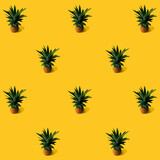 trend pattern pineapple on orange minimalist concept photo