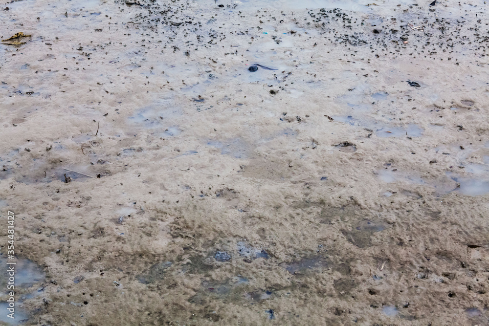 View of blurry mud texture used for clay mask in beauty products
View of blurry mud texture used for clay mask in beauty products