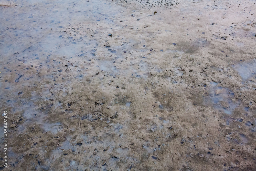 View of blurry mud texture used for clay mask in beauty products
View of blurry mud texture used for clay mask in beauty products