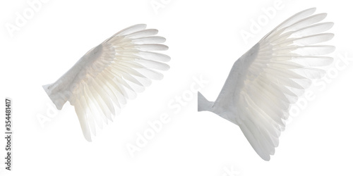 White angel wings isolated on white background