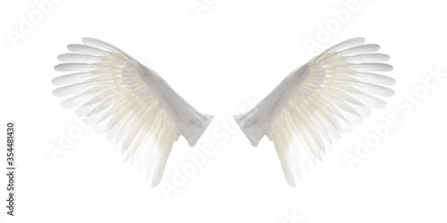White angel wings isolated on white background © Olga K
