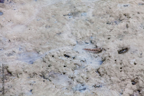  View of blurry mud texture used for clay mask in beauty products